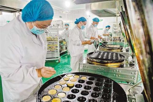 沙坪壩食品中央工廠 科技賦能，為5000名老人定制營養(yǎng)膳食